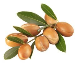 Argan